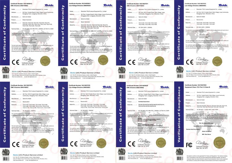 Competitive Price Steam Bath Machine, Electric Generator for Sauna