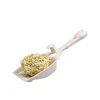 litter kwitter cat corn cat litter foot odour