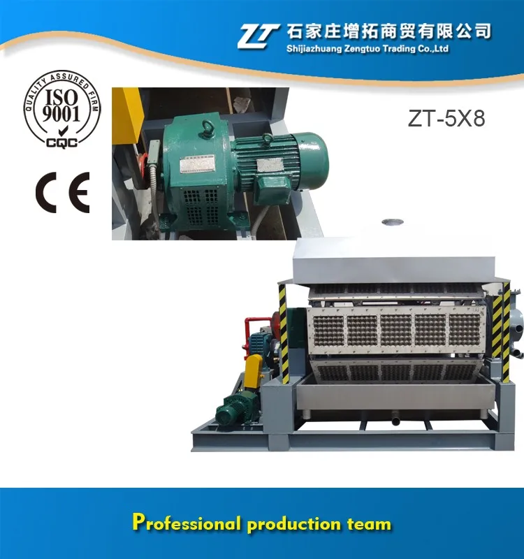 25 years paper pulp egg tray machinery/egg tray making production line ZT-5X8