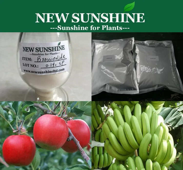 Brassinolide3.jpg