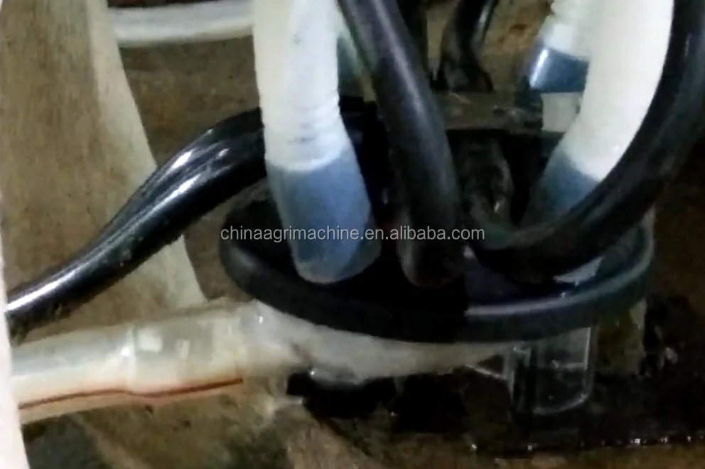 Portable Milking Machine For Goat /cow Milking Machine Bangladesh Price