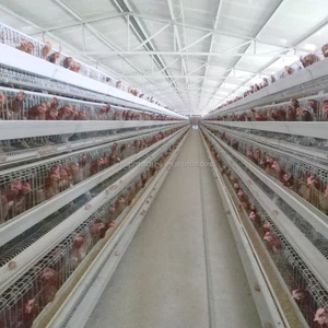 Chicken Layer Cage Price In India Breeding Farm