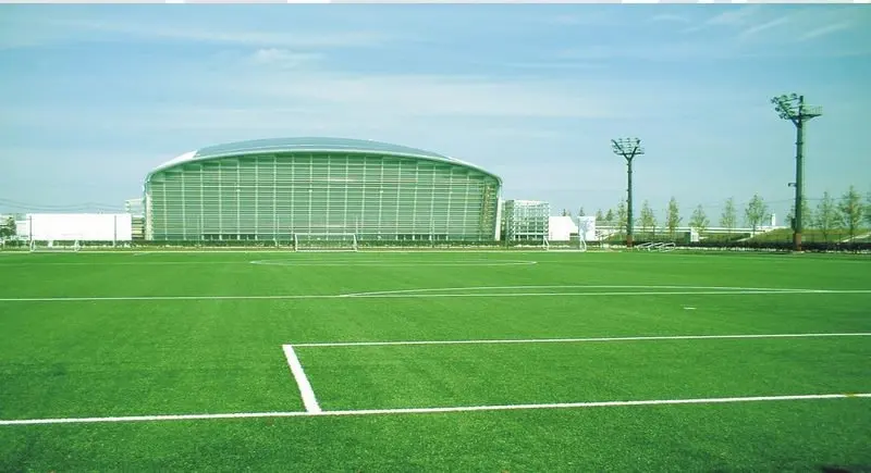 Soccer pitch