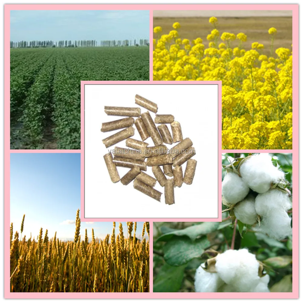 Yellow Corn Bulk Corn Chicken Feed Buy 100 Natural Chicken Feed