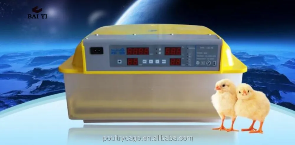 Can i use a heating pad to incubate eggs