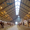 cheap prefab prefabricated light steel cattle shed farm modern cow shed structures barns building construction cost prices