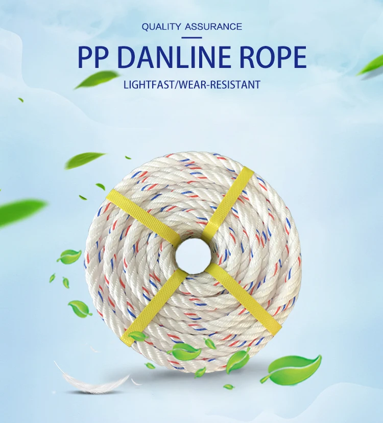 pp-danline-rope_01