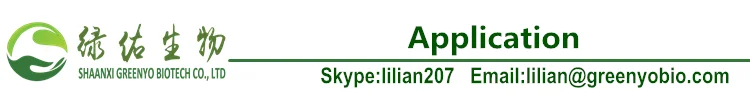 logo-api-appl