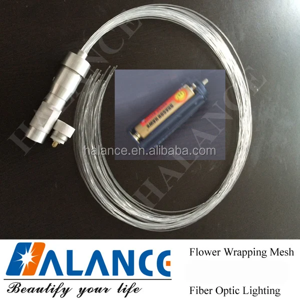 LED Fiber Optic Lash.jpg