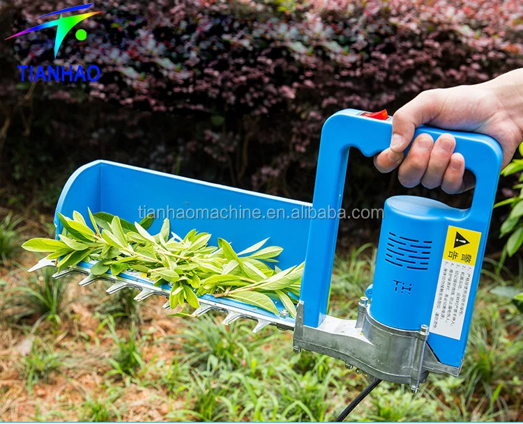 battery tea harvester 2.jpg