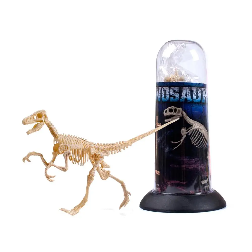 buy dinosaur skeleton