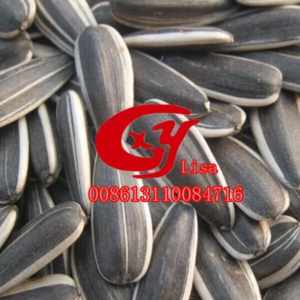 2015 best sunflower seeds