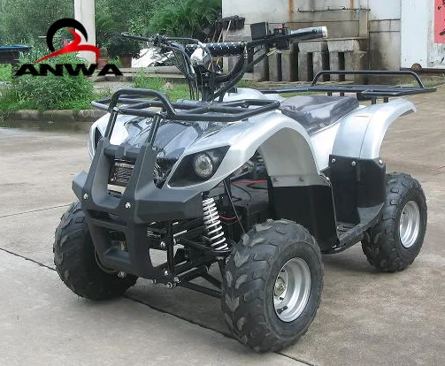 2018 hot sell cheap chinese 800W 48V adult electric atv