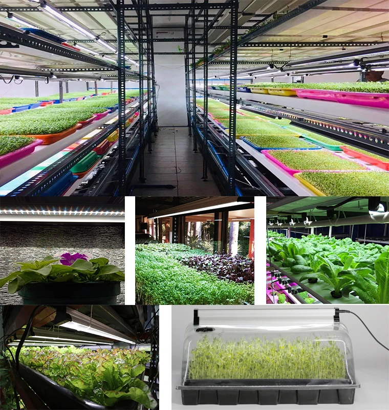 hydroponic indoor greenhouse microgreen bar strip lamp full spectrum led grow light for plants