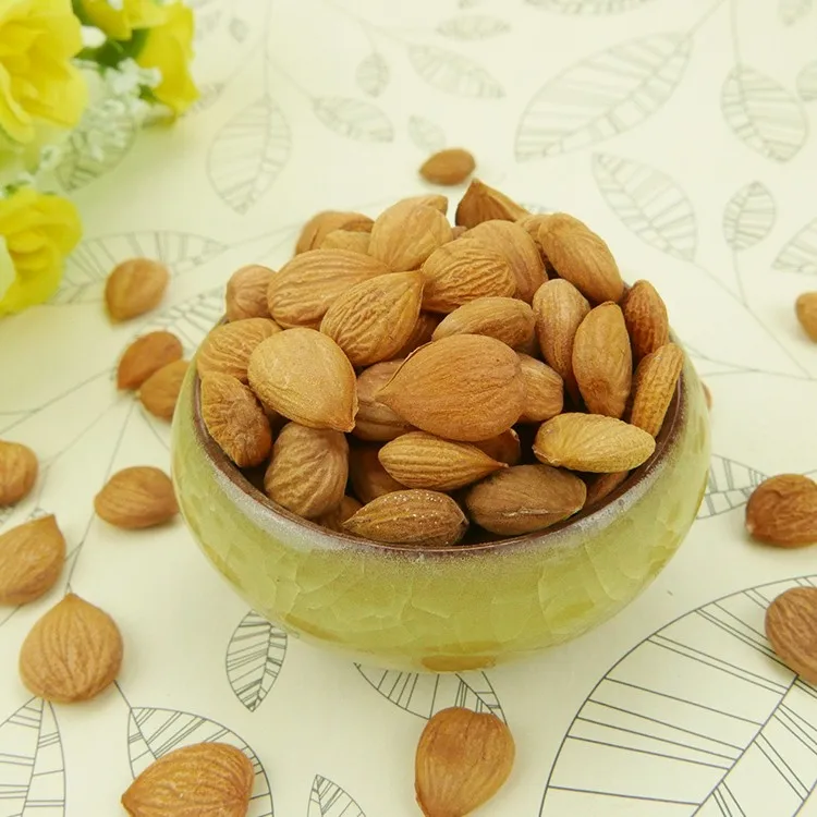 wholesale Chinese Apricot Kernels almonds for sale