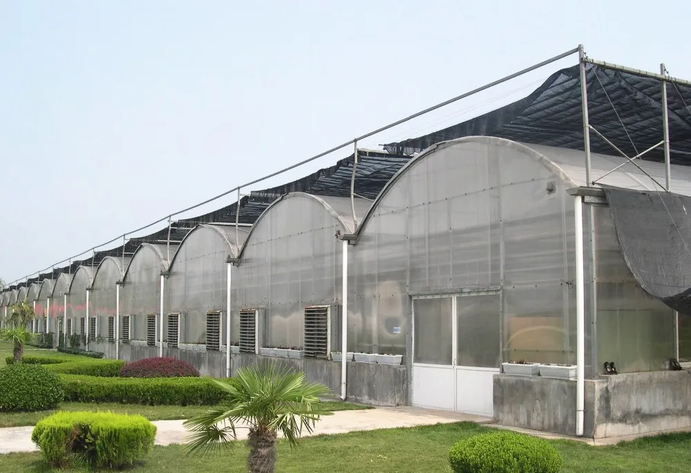 钢结构 po/pe膜拱温室苗种繁育/展览/餐厅/研究/水产养殖