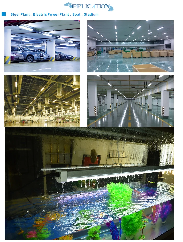 Tri-prooflight_12.jpg