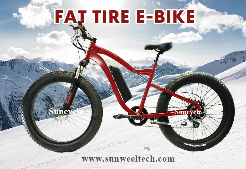 ebike (1)
