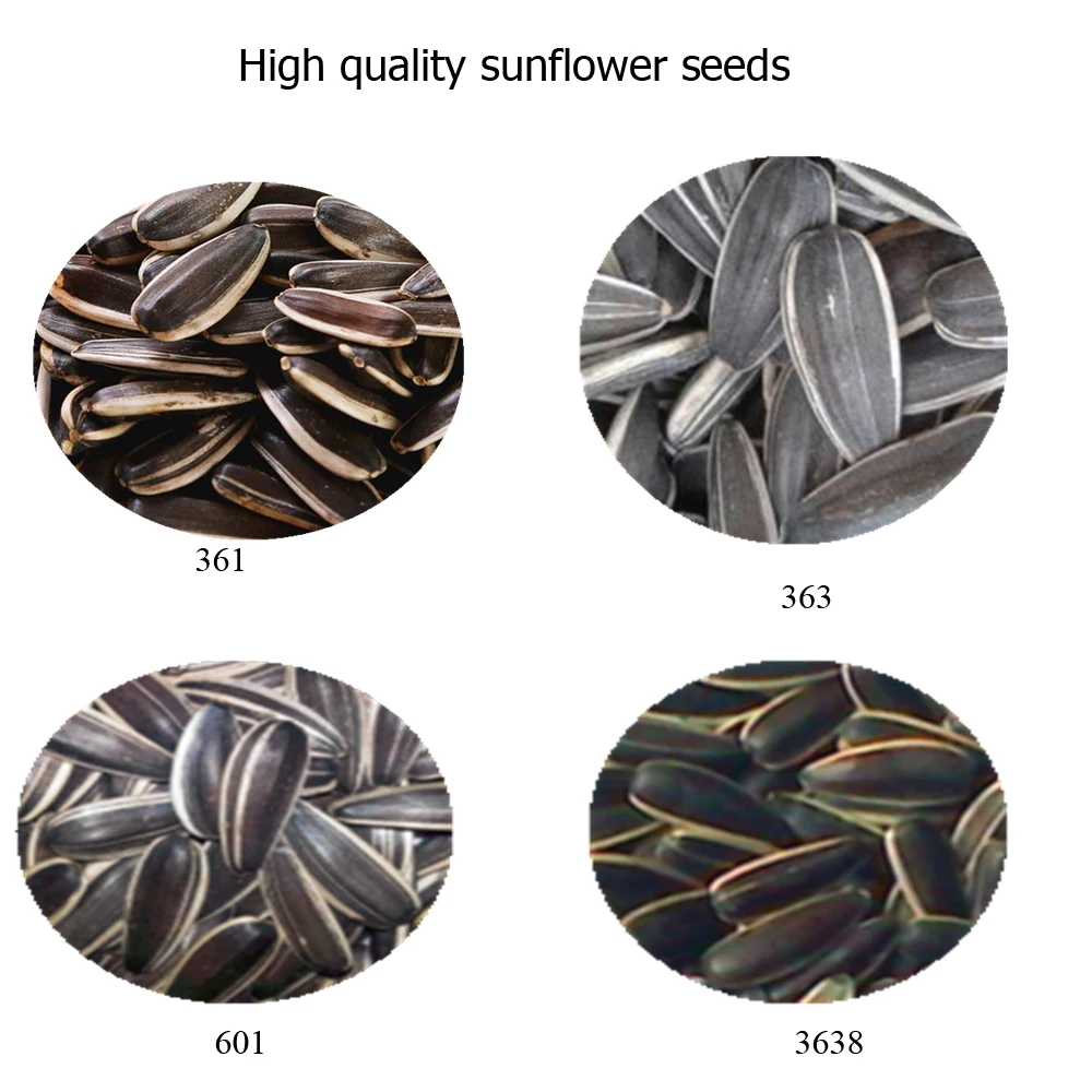 100 Natural Specifications For Sunflower Seed Factory Price Buy 100