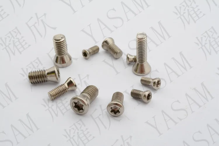 screw for inserts (2)