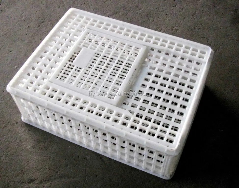 Plastic Quail Transport Breeding Box Cages For Sale - Buy Plastic Quail