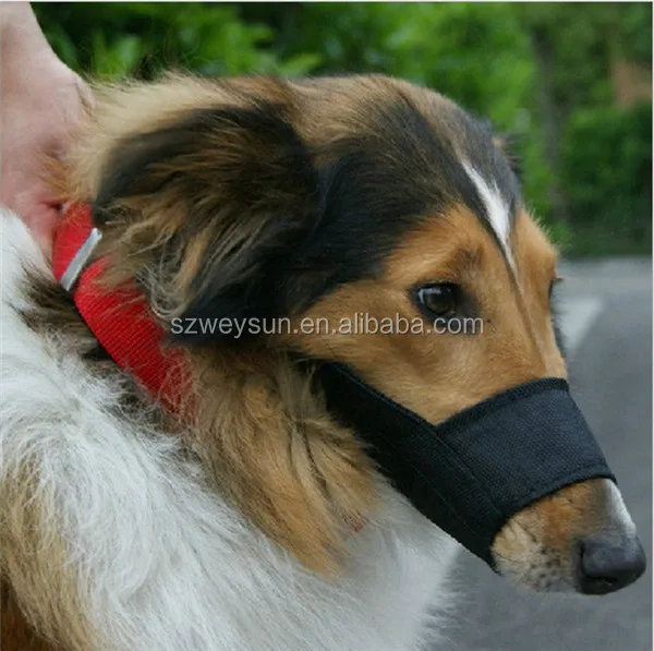 puppy muzzle for biting