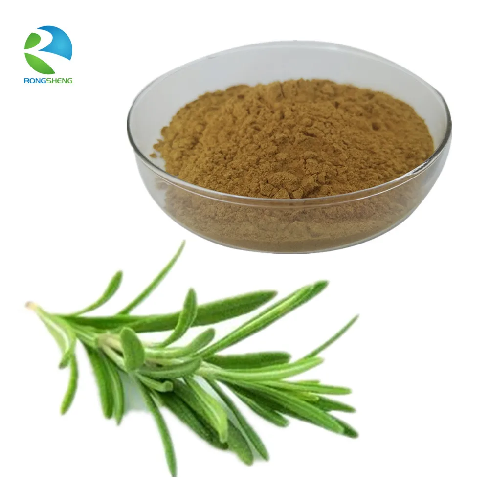 Factory Supply Food Grade Rosemary Extract Powder Buy Rosemary