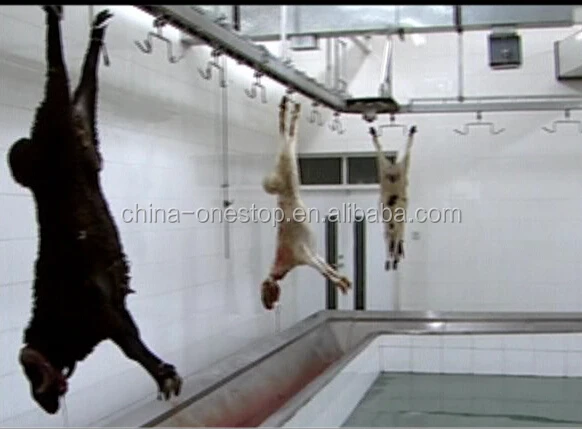 Sheep slaughtering equipment-lamb and sheep automatic bleeding line bleeding conveyor