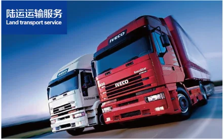 worldwide FCL/LCL sea freight container shipping custom declaration and clearance