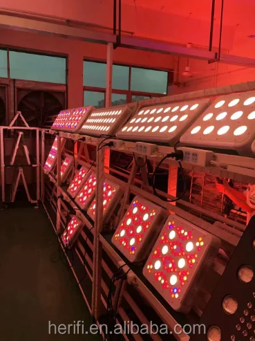 Best Series Grow lights.png