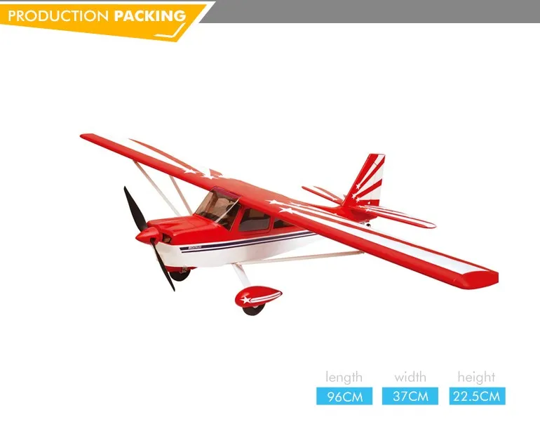 large rc planes for sale
