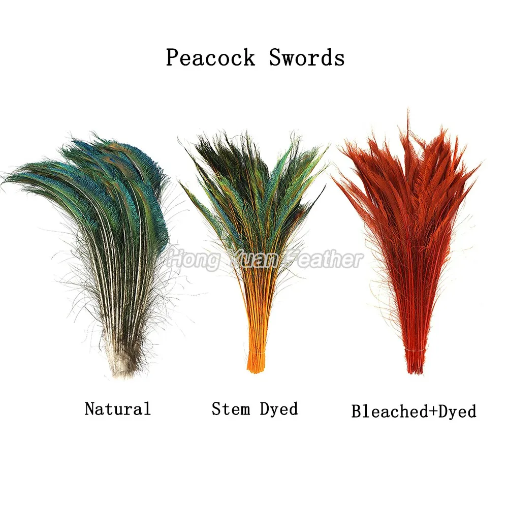 Peacock Feather - Dyed