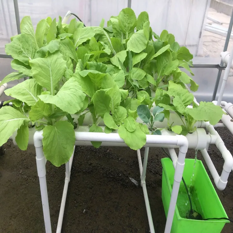 Complete-Hydroponics-