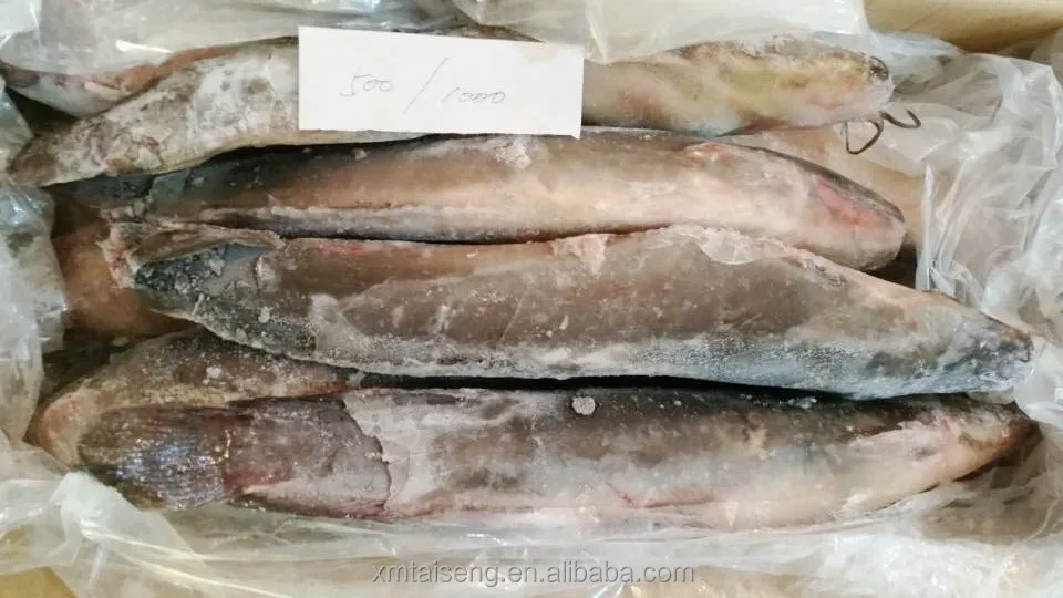 Frozen Whole Round Catfish & Catfish Fillets Products Supplied Buy
