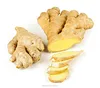 low price dried fresh ginger from China