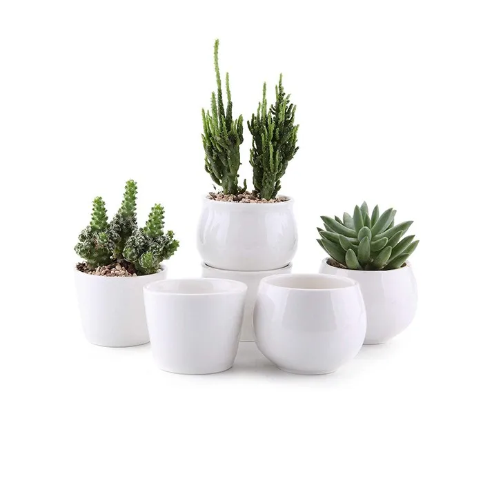 Wholesale Korean Ceramic Small White Ceramic Succulent Plant Pot Buy Succulent Plant Pot Korean Ceramic Pot Plant Pot Ceramic Product On Alibaba Com