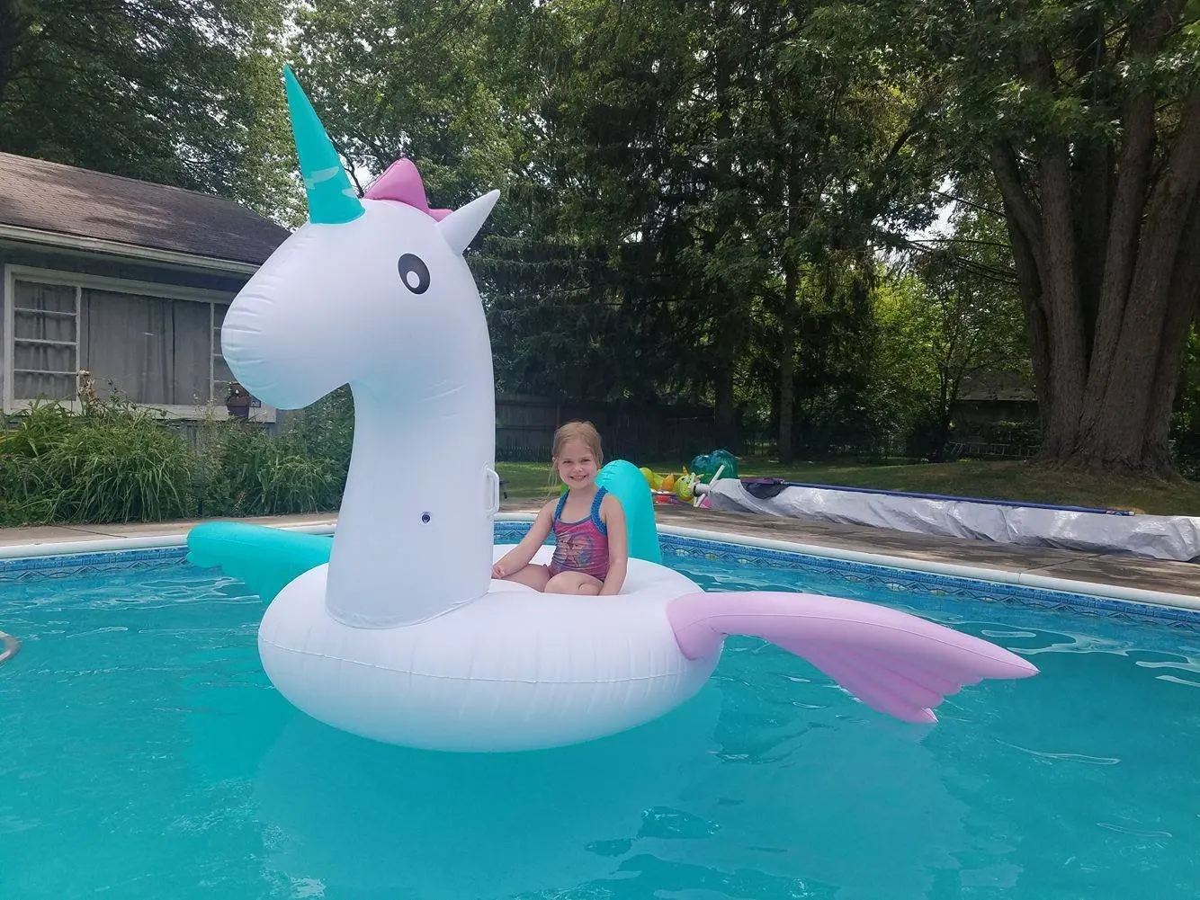 horse inflatable pool