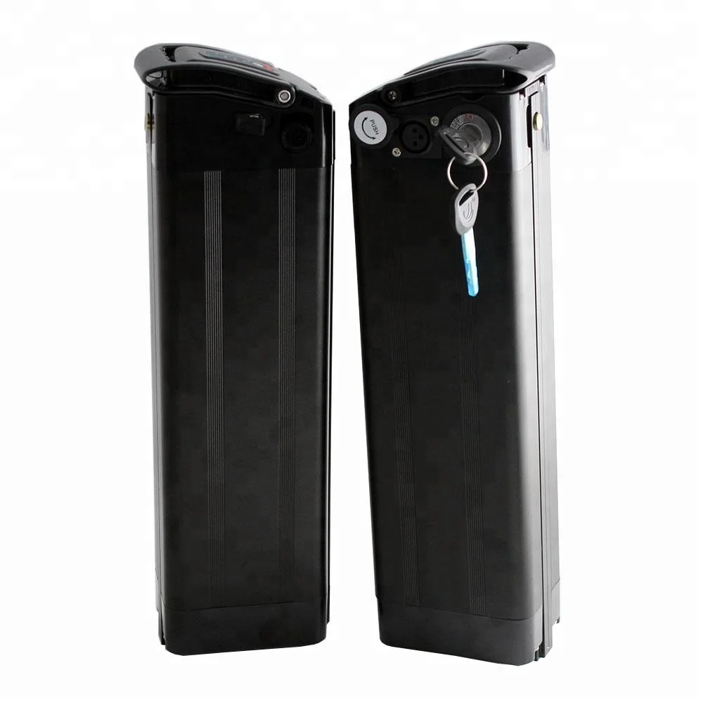 black silver fish battery 2.JPG