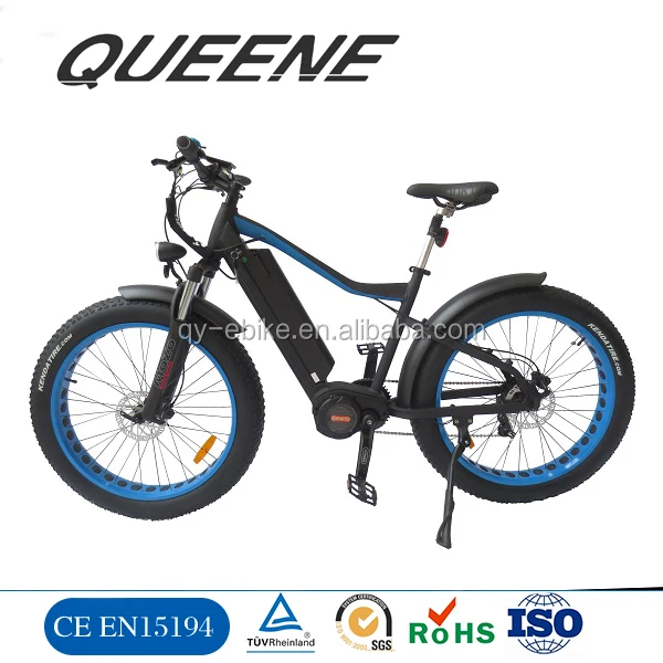 eco ebikes