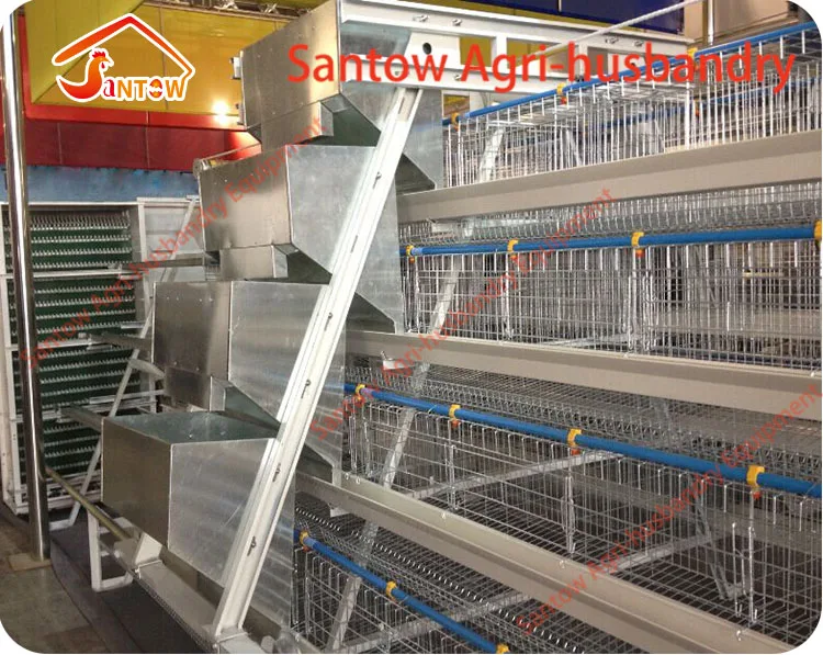 A Type 4 Tier Chicken Battery Cages And 1000 Birds Chicken Layer House