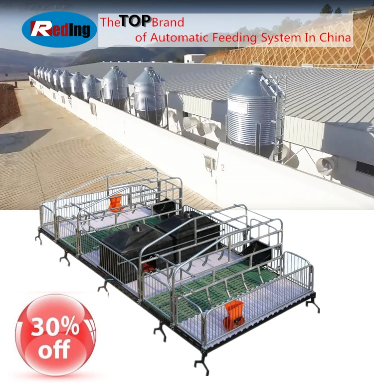 Adjustable High Quality Easy Clean Piggery Farming Equipment Used