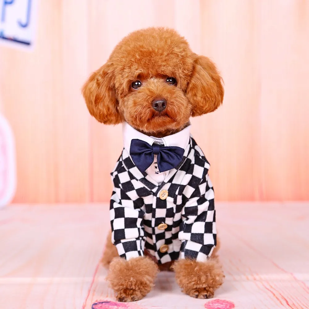 dog clothing stores