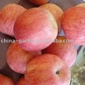 Fuji_Apples[1].jpg