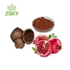 100% Pure Pomegranate Extract 40 Ellagic Acid from GMP factory