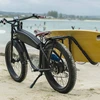 250W chopper electric bike/retro 500W e fatty bicycle/750W vintage pedelec/scrambler 1000W cycle w surf board rack/sup carrier