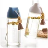 Creative Glass Drinking Bottle Tea Infuser Water Bottle with handle
