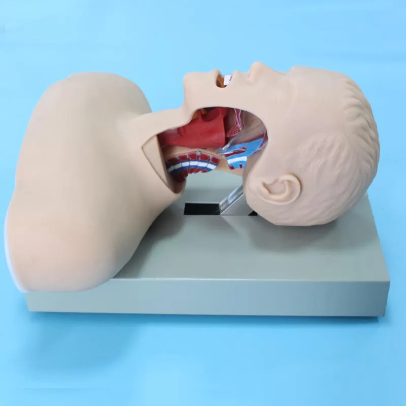 airway intubation model.jpg