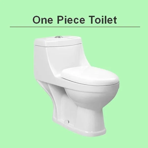 One Piece Toilet.JPG