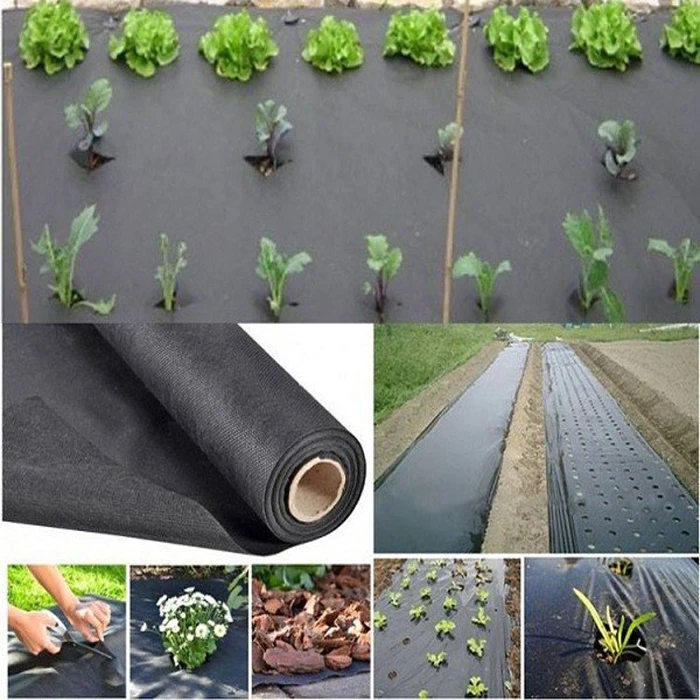 High quality60gsm 1m*15m roll pp nonwoven fabric for agriculture / landscape fabric