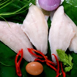 american (channel) catfish